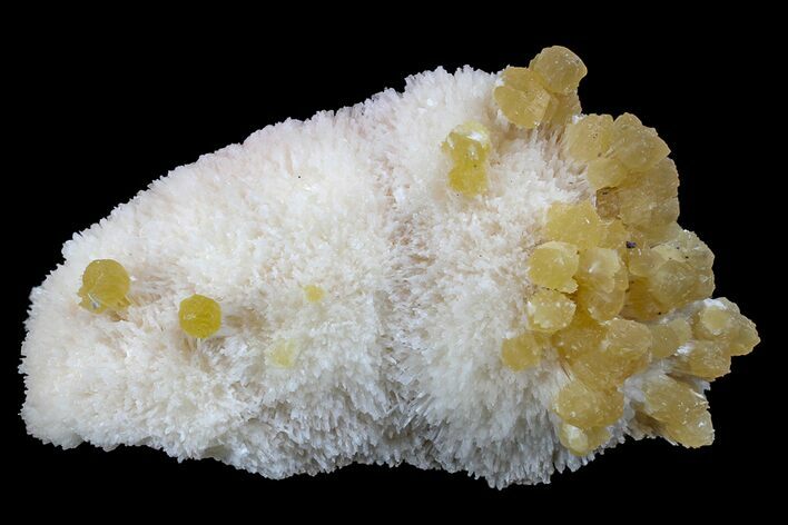 Yellow Calcite On Scolecite (Zeolite) Sprays - Maharashtra, India #168712